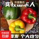 【核心產(chǎn)地】五彩椒水果椒彩椒碗明星減脂低卡首選新鮮現發(fā) 帶箱2斤（紅黃綠隨機）