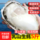 正宗鮮活乳山特大生態(tài)生蠔王新鮮海蠣子牡蠣肉質(zhì)肥美海鮮水產(chǎn)生鮮 帶箱10斤6XL（16-20個(gè)）【特大蠔】