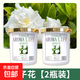 梔子花香薰家用臥室內持久留熏香氛廁所除臭神器衛生間空氣清車(chē)載 梔子花【2瓶裝】