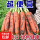 河南精品胡蘿卜新鮮現拔自家種植不水洗綠色健康蔬菜帶泥發(fā)貨 帶箱10斤【單果二兩以上】 現挖帶泥胡蘿卜【農家自種】