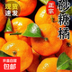 整箱正宗廣西砂糖橘新鮮當季水果沙糖桔橘子薄皮少籽多汁砂糖桔 砂糖橘帶箱9斤