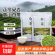 正宗安吉珍稀高山白茶新鮮嫩芽特級雨前濃香綠茶毛峰袋裝茶葉 安吉珍稀白茶5克*1袋