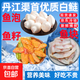 丹江生態(tài)白鰱魚(yú)泡魚(yú)籽魚(yú)塊新鮮速凍魚(yú)雜高蛋白輔食魚(yú)籽調理魚(yú)塊 丹江湖生態(tài)鰱魚(yú)籽（2斤家庭裝）