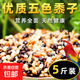 精品虎皮牡丹玄鳳鸚鵡鳥(niǎo)糧五色黍子嚴選新糧天然配方均衡營(yíng)養 2500g 五色黍子（嚴選新糧）