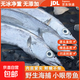 精選深海帶魚(yú)國產(chǎn)小眼油帶魚(yú)新鮮帶魚(yú)整條生鮮食材帶魚(yú)海捕刀魚(yú) 五斤超值裝