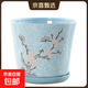 柯必達陶瓷花盆特大號走量綠蘿花盆中國風(fēng)大號托盤(pán)簡(jiǎn)約創(chuàng  )意個(gè)性室 XY003天藍色梅花(高款) 特大