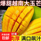 越南精選玉芒新鮮青芒整箱生鮮水果皮應季水果批發(fā)玉芒芒果-馬關(guān) 整箱5斤大果【單果200g+】