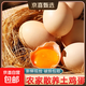 果園富硒雞蛋無(wú)抗雞蛋可生食雞蛋50g正負5g/枚早餐生鮮買(mǎi)菜 10枚 富硒無(wú)抗雞蛋