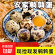 無(wú)抗富硒新鮮鵪鶉蛋五谷雜糧喂養現撿現發(fā)營(yíng)養豐富寶寶輔食鵪鶉蛋 60枚家庭實(shí)惠裝可生食