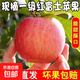 京喜加山西運城紅富士蘋(píng)果10斤正宗當季現摘新鮮水果丑甜冰糖心整箱 9斤大果75-85mm