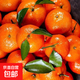 【熱銷(xiāo)】正宗廣西砂糖桔新鮮橘子當季水果時(shí)令薄皮蜜桔 砂糖橘帶箱9斤