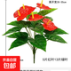 仿真花綠植紅掌假花擺件客廳裝飾綠色植物落地桌面擺放假花盆栽 18頭紅掌(1枝)