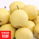 京喜加趙縣雪花梨河北雪花梨晉州雪花梨【適合煲湯】13 帶箱2斤凈重1.6-1.8斤