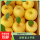 新鮮采摘煙臺正宗奶油富士棲霞蘋(píng)果水果新鮮脆甜整箱冰糖黃金 帶箱9斤超大果（85mm+）