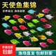 天使魚(yú)小型熱帶魚(yú)觀(guān)賞魚(yú)苗斑馬七彩群游套餐淡水魚(yú)大號魚(yú)好養耐活 2-4cm天使魚(yú)5條送1條備損【隨機組合】