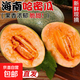 哈密瓜  脆甜多汁軟糯香甜蜜海南西州密瓜 新鮮采摘應季生鮮水果 海南哈密瓜帶箱5斤（2-3個(gè)）