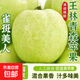 啟程生鮮陜西頭茬青蘋(píng)果新鮮采摘清脆多汁 帶箱5斤