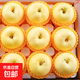 正宗產(chǎn)地黃元帥蘋(píng)果2025年新果丑蘋(píng)果非冰糖心水果新鮮當季脆甜 9斤裝 85mm-90mm