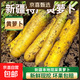 新鮮脆甜黃胡蘿卜冰糖心水果蘿卜農家蔬菜新疆手抓飯甜黃蘿卜專(zhuān)用 9斤 含箱（洗凈去泥）
