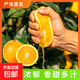 四川臍橙新鮮現摘正宗當季水果特產(chǎn)橙子年貨產(chǎn)地直發(fā)生鮮年貨 4.5-5斤中果凈重