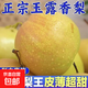 山西玉露香梨脆甜薄皮多汁無(wú)渣整箱新鮮應季水果禮盒裝 玉露香梨帶箱9斤大果凈重8.2斤單果80mm起