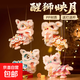 新年春節元旦節國潮醒獅燈籠手工diy材料包兒童手提獅子花燈道具 粉+紫+藍+紅四個(gè)裝