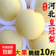 正宗脆甜皇冠梨產(chǎn)地直發(fā)應季鮮白梨水果千果悅 帶箱5斤250g起8-10個(gè) 略有花皮不影響口感