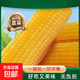 262玉米新鮮糯玉米黃糯苞米新鮮甜粘真空裝早餐非即食東北 10/棒 東北玉米單棒克重300克以上凈重
