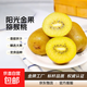 陽(yáng)光金果國產(chǎn)獼猴桃奇異果金桃彌泥猴桃新鮮水果生鮮大果孕婦當季 12枚中果 70-90g