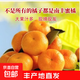 南豐蜜橘新鮮蜜桔酸甜無(wú)渣當季新鮮水果整箱包郵 鮮果帶箱10斤裝（凈重9斤裝）7分甜中小果