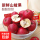 山楂果大五棱鮮果新鮮現摘山楂酸甜開(kāi)胃產(chǎn)地果園直發(fā)整箱新鮮酸甜 帶箱3斤特惠裝大果
