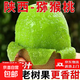 【香甜】正宗陜西徐香綠心獼猴桃新鮮當季水果奇異果獼猴桃 【買(mǎi)一贈一】15枚60g+（實(shí)發(fā)30枚）