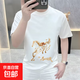 馬年本命年大紅色印短袖男純棉T恤男2026夏韓版圓領(lǐng)港風(fēng)潮流體恤 白色 2XL