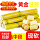 【精選中段】黃金甘蔗現砍黃皮甘蔗新鄉當季水果脆甜榨汁-樂(lè )磊E 帶箱5斤優(yōu)選