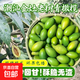 新鮮青橄欖甜種潮汕生鮮水果生吃泡茶煲湯綠皮果整箱包郵 2斤