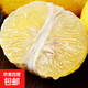 京喜加正宗懷化洪江黃金貢柚巖垅水果春香桔柚子象山青京東快遞更快更好 帶箱9斤凈重8.5斤（單果80mm-85mm)