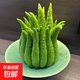 云南佛手果新鮮現摘精品觀(guān)賞禮佛聞香應季新鮮佛手柑青果黃果隨緣 觀(guān)賞中果1個(gè)460-600克