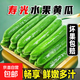 壽光水果黃瓜現摘現發(fā)新鮮采摘 水果小黃瓜帶箱4斤
