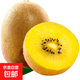 黃心獼猴桃奇異果新鮮水果彌猴桃農家應當季大果孕婦現摘整箱 【大果】24枚 |單果80-100g