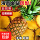 金鉆鳳梨海南樹(shù)上熟臺農17號金菠蘿手撕鳳梨新鮮水果當季小菠蘿 帶箱9斤-凈重8.5斤 單果650g起
