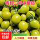 正宗青甜2號小番茄山東壽光脆甜多汁新鮮青霞綠寶石小番茄水果 5斤