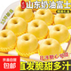 奶油富士蘋(píng)果脆甜當季冰糖心牛奶黃金蘋(píng)果新鮮水果 帶箱5斤（大果70mm+)