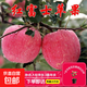 【買(mǎi)一送一】蘋(píng)果裸根樹(shù)苗 耐寒抗病 基地直供新手也能輕松種植 紅富士 5年苗【1顆裝】當年結果
