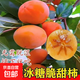 特大脆甜柿子嫁接無(wú)籽矮化柿子樹(shù)苗超矮冰糖心盆地載庭院當年結果 甜脆柿子 5年苗當年結果