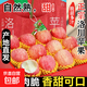 陜西正宗洛川蘋(píng)果新鮮水果當季整箱紅富士官方旗艦一級脆甜包 2粒裝單果70mm+
