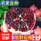 特大石榴樹(shù)苗抗寒突尼斯軟籽石榴樹(shù)吉祥樹(shù)庭院別墅旺宅果樹(shù)盆地栽 突尼斯軟籽石榴 5年苗當年結果