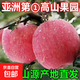 靈寶紅富士蘋(píng)果脆甜多汁蘋(píng)果水果源頭直發(fā) 大果9-10斤帶箱凈重8斤80mm