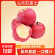 蘋(píng)果新鮮水果紅富士瑞雪青蘋(píng)果奶油富士黃蘋(píng)果脆甜多汁農家果園 紅富士蘋(píng)果帶箱5斤凈重4.5斤