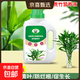 富貴竹專(zhuān)用營(yíng)養液水養水培植物肥料轉運觀(guān)音竹子家用治黃葉通用 富貴竹專(zhuān)用營(yíng)養液500ml×1瓶