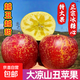 正宗大涼山冰糖心丑蘋果超甜新鮮當季水果鹽源四川紅富士蘋果包郵 80mm-85mm 【大果】超值囤貨 9斤凈重8斤